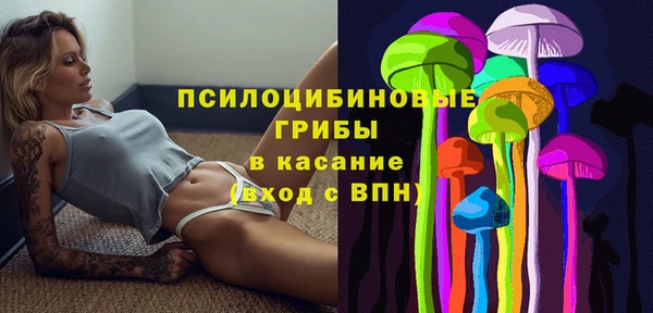 трава Балахна