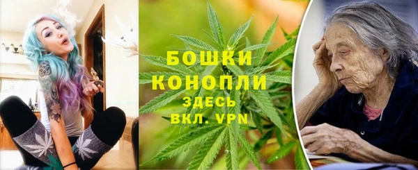 трава Балахна