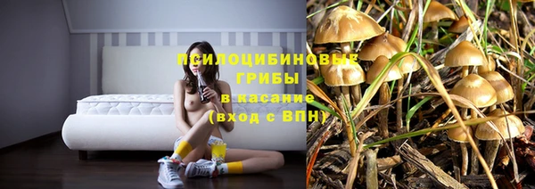 трава Балахна