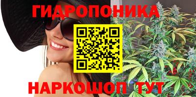 молекула духа Бийск