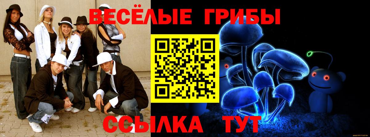 Вольск  Галлюциногенные грибы Cubensis  Вход с VPN  Псилоцибиновые грибы ЛСД 